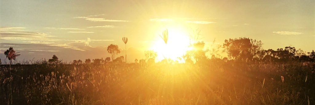 inner_theory's profile banner image
