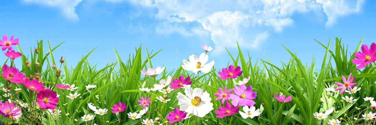 Erdee🇲🇳✌💙🌷🌼🌺🌻🌹🏵⚘🍀 banner