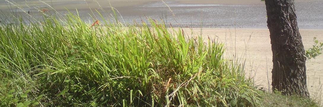 Mark Atkinson banner