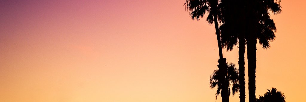 larimopet's profile banner image