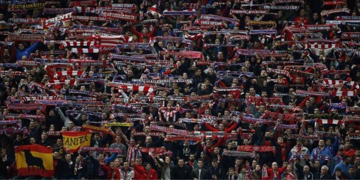 Daniel Wilhelmsen banner