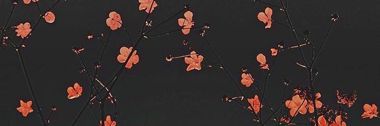 xiaotshen's profile banner image