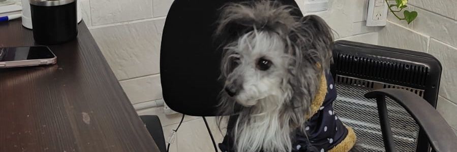 JoseOrso's profile banner image
