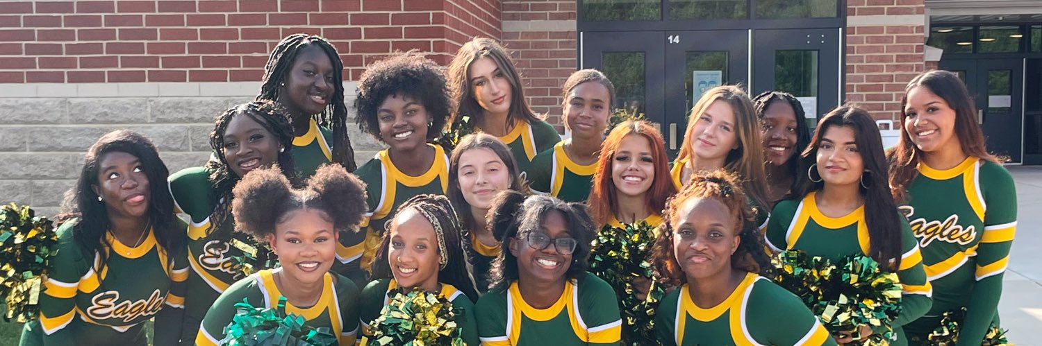 Seneca Valley Poms banner