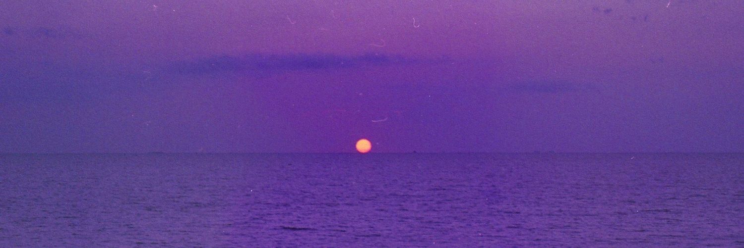 sararodd_'s profile banner image