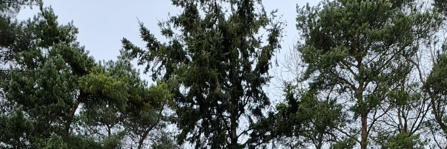 D_23_D's profile banner image