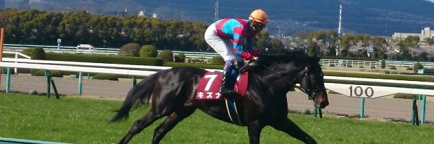 orfevre719's profile banner image