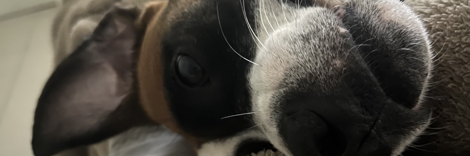 gabiisoa's profile banner image