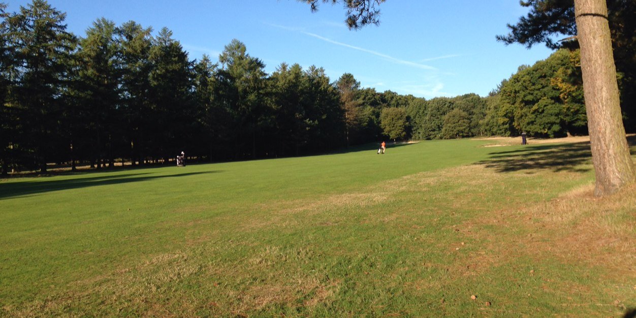 Abe Jan ter Beek banner