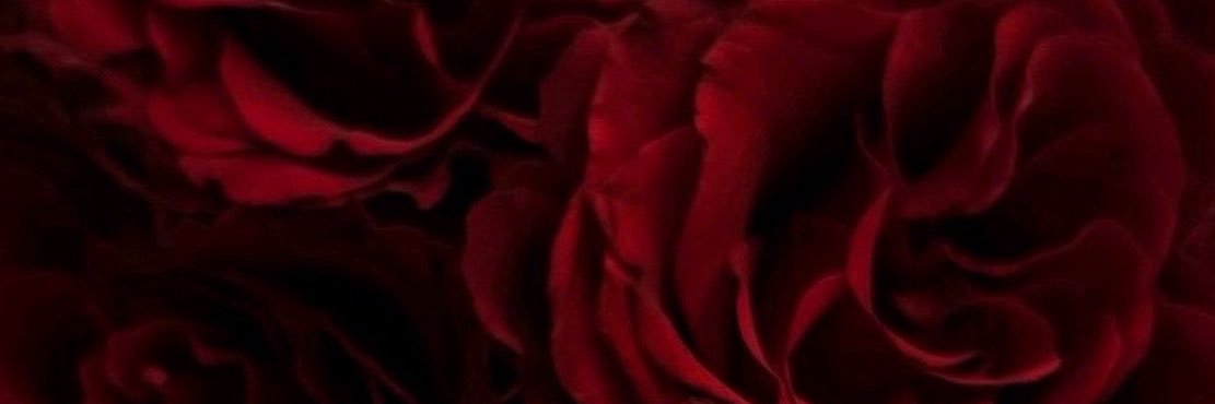 Queenmoreap's profile banner image