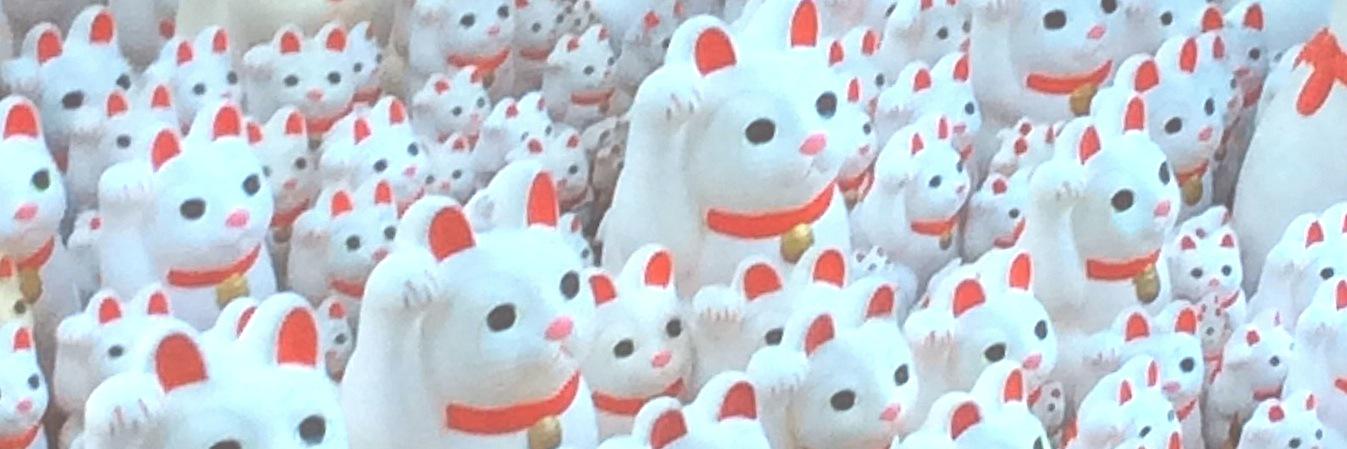 shirolyn's profile banner image