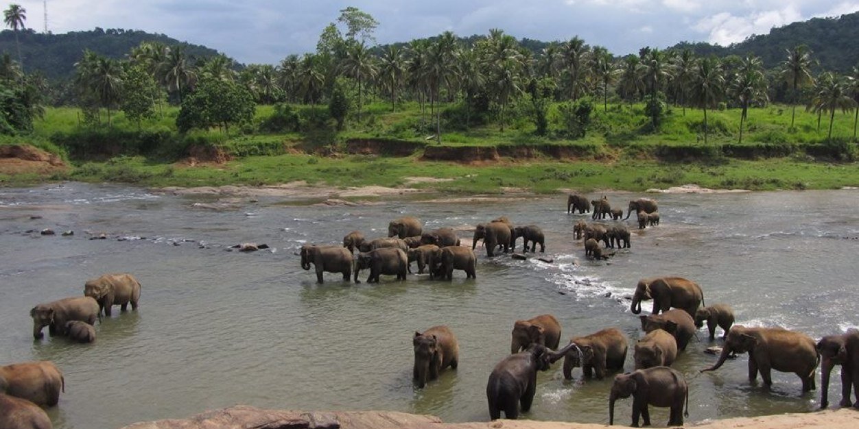 Christine Chapman banner