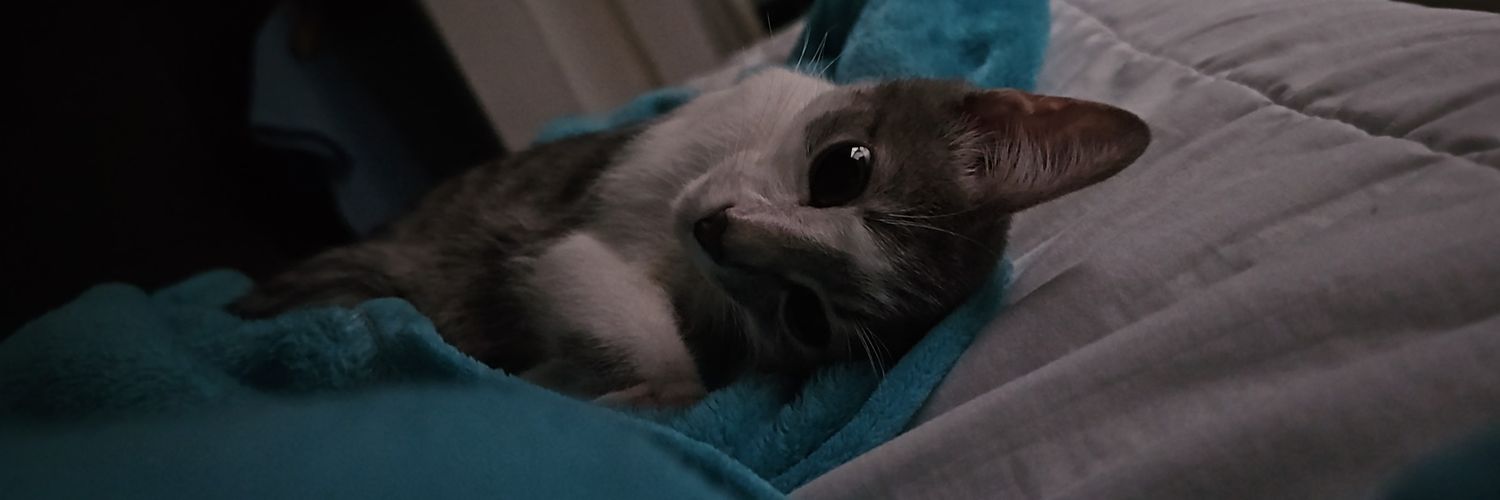 nerdybastard's profile banner image