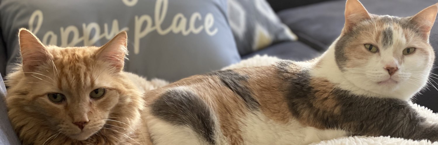 arleighkenn's profile banner image