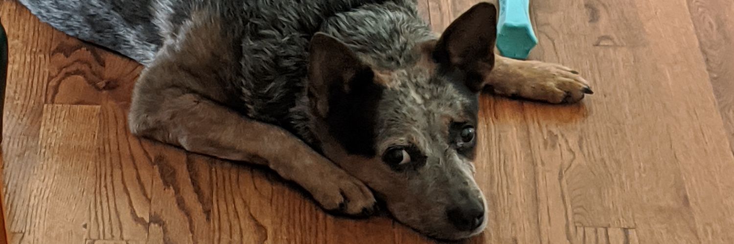 thenodester's profile banner image