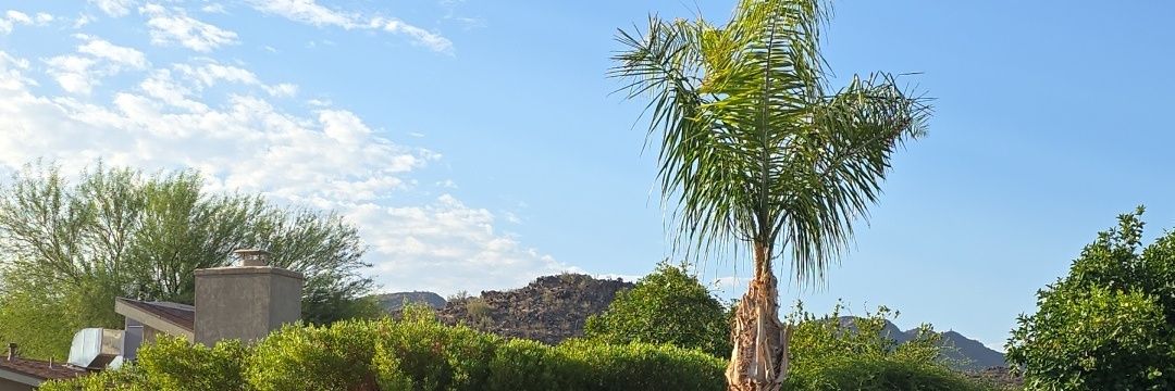 Mhamila's profile banner image