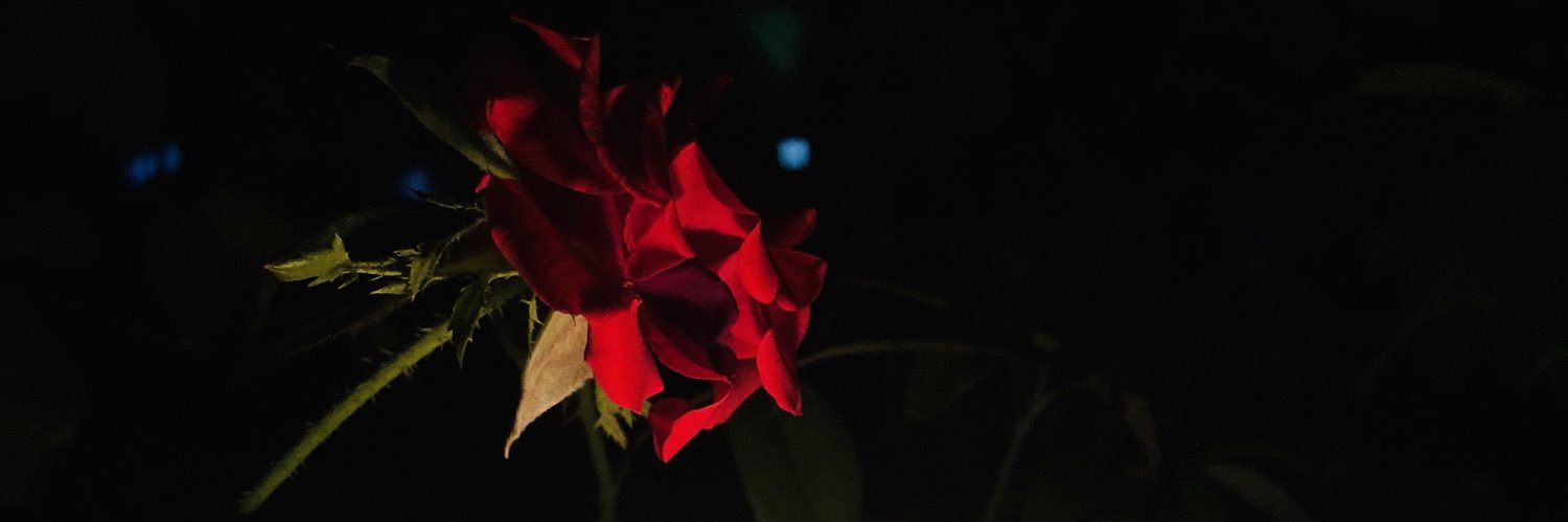 hilalbyram's profile banner image