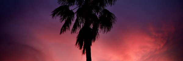 RoKstR830 Profile Banner