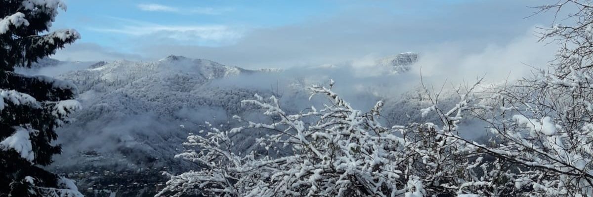 Mehmet1w's profile banner image