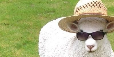 ChrisRance1's profile banner image