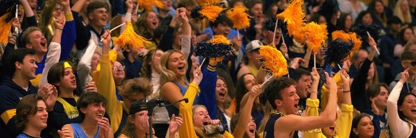 NHS Student Section banner