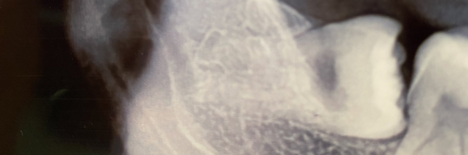 EllisTyara's profile banner image