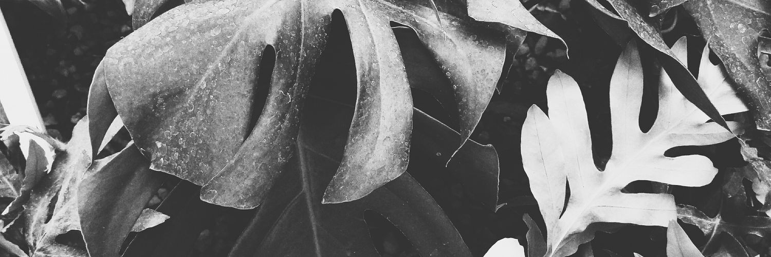 chrisseptember's profile banner image