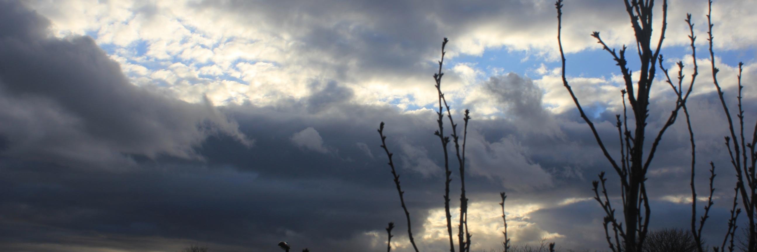 MalcolmAvery's profile banner image
