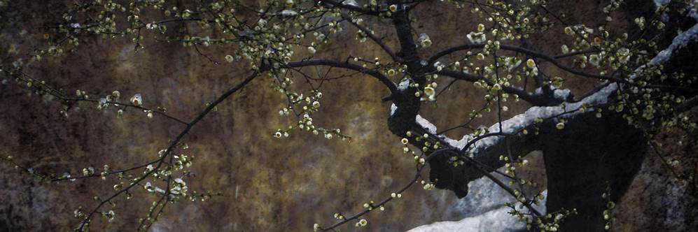 yumu321's profile banner image
