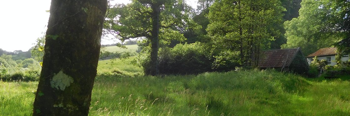 Professor Smudge banner