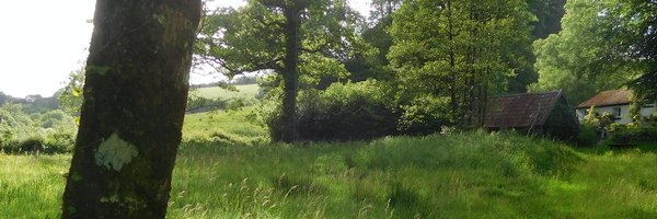 ProfSmudge Profile Banner