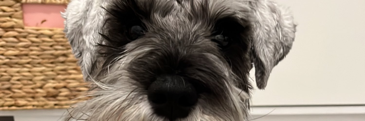 MarkCcs's profile banner image