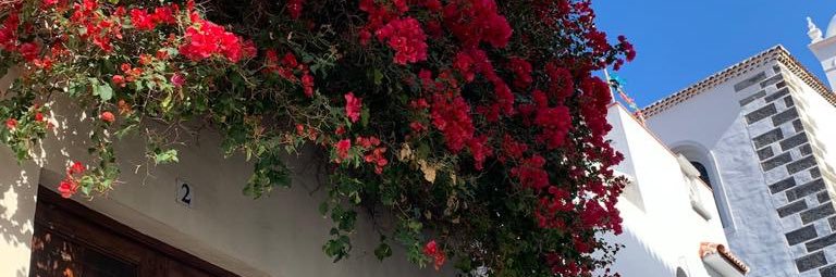 itsSharnah's profile banner image