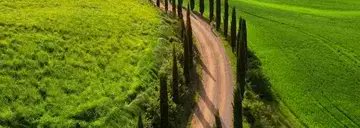 mirbe_khosrav's profile banner image