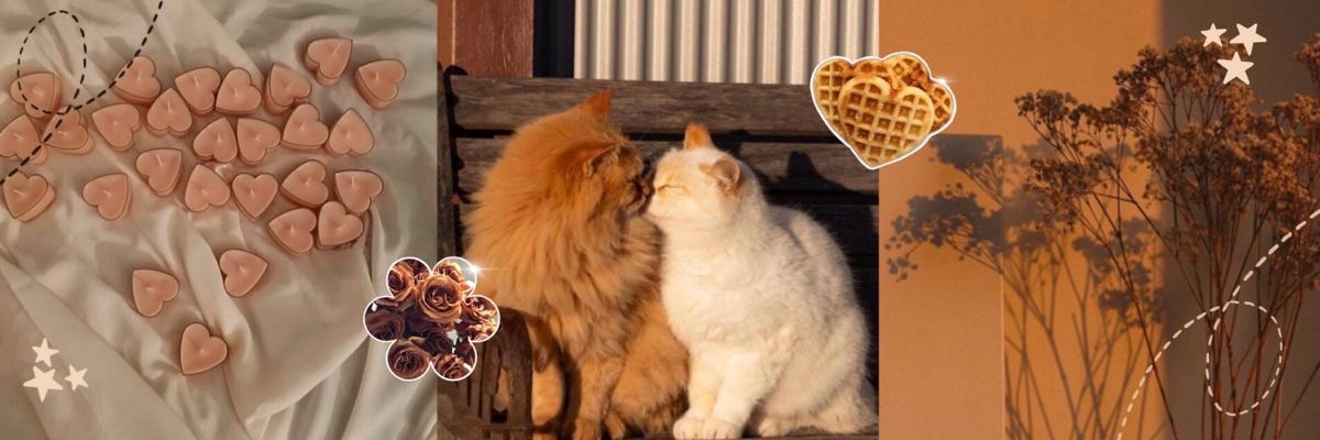 Cntkks's profile banner image