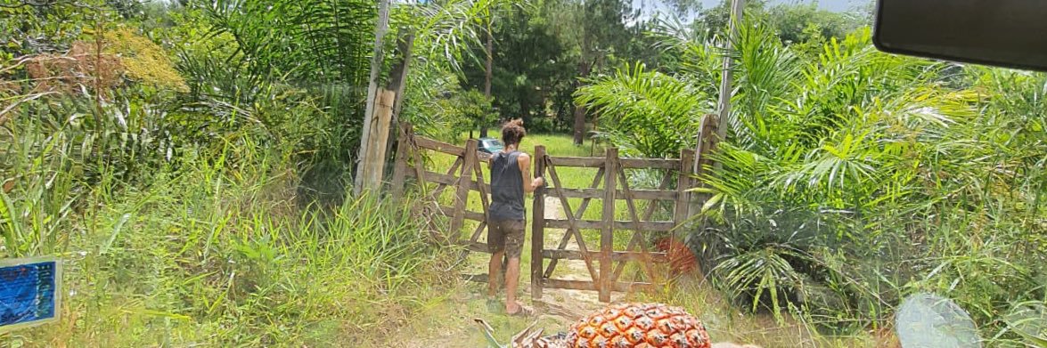 marc domingos banner