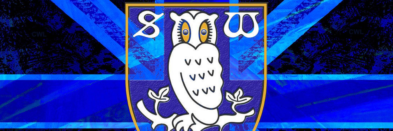 Mizlerable's profile banner image