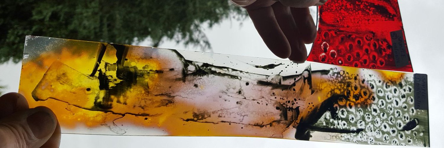 Bianca Divito banner