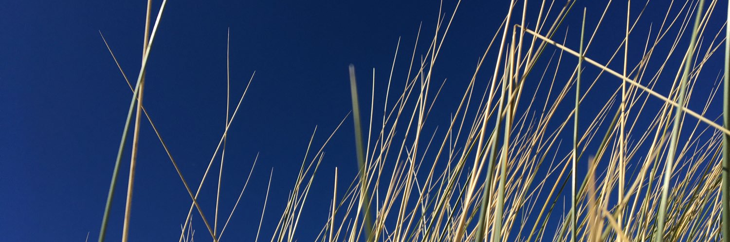 eefjedekker's profile banner image