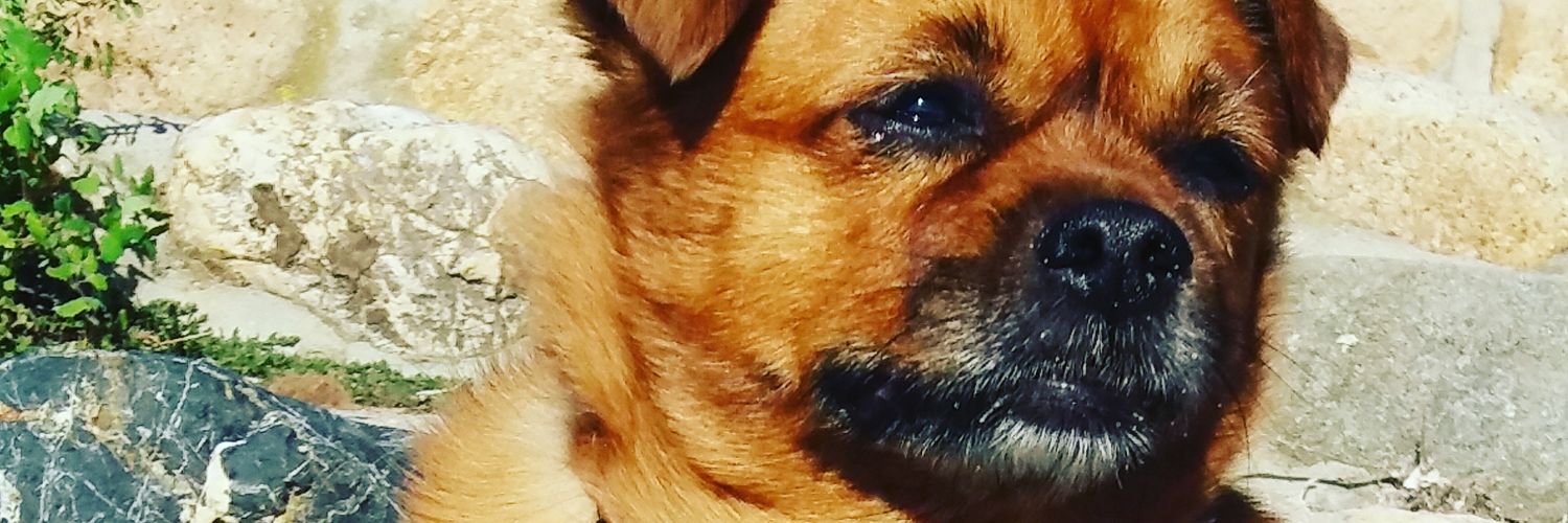 MartyBuffa's profile banner image