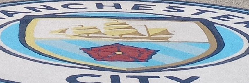 Mark Lunn 🩵⚽🐝💙💚OC⬛🏏🏉🎗️ banner