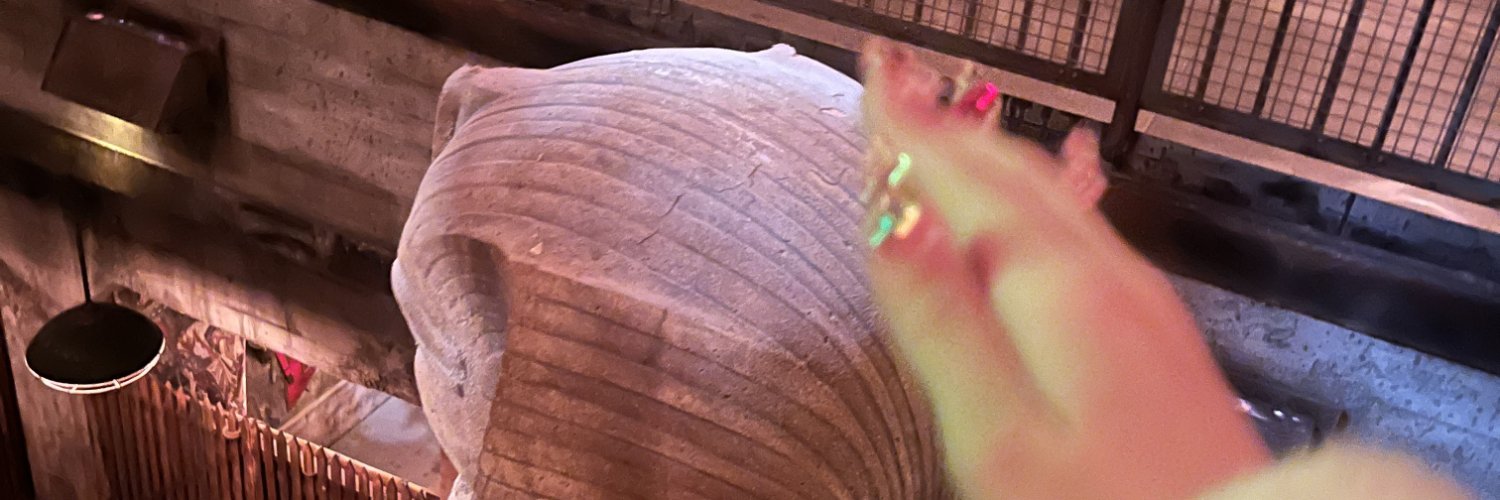 godhokuto's profile banner image