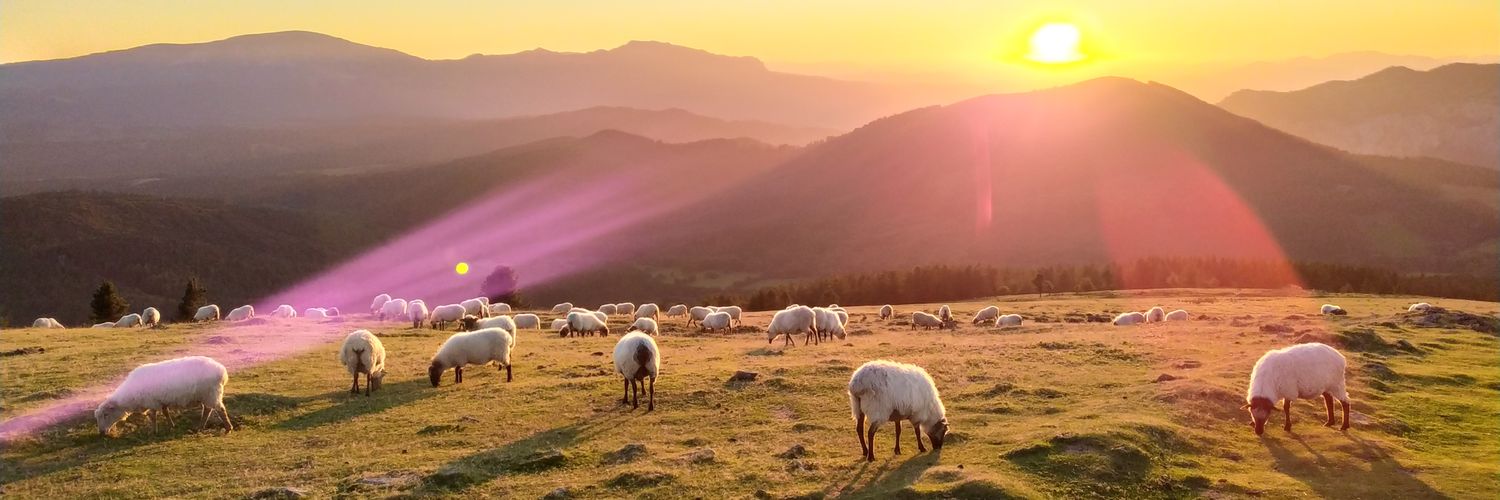 Uxue Gutierrez banner