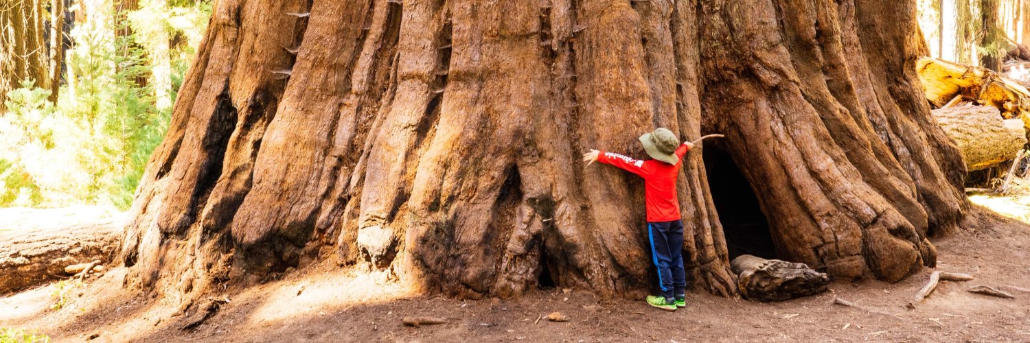 Sequoia & Kings Cyn banner