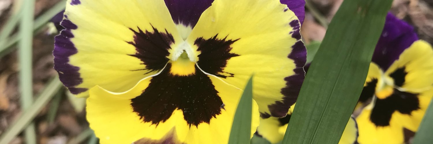 Travis Claybrooks banner