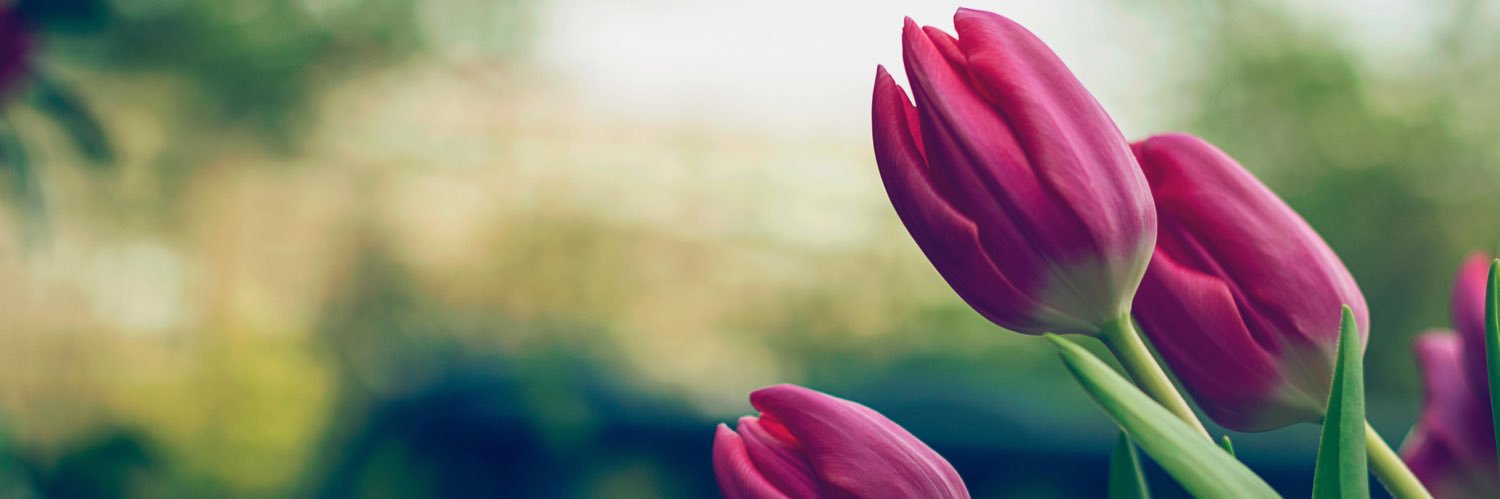 gabylu_25's profile banner image