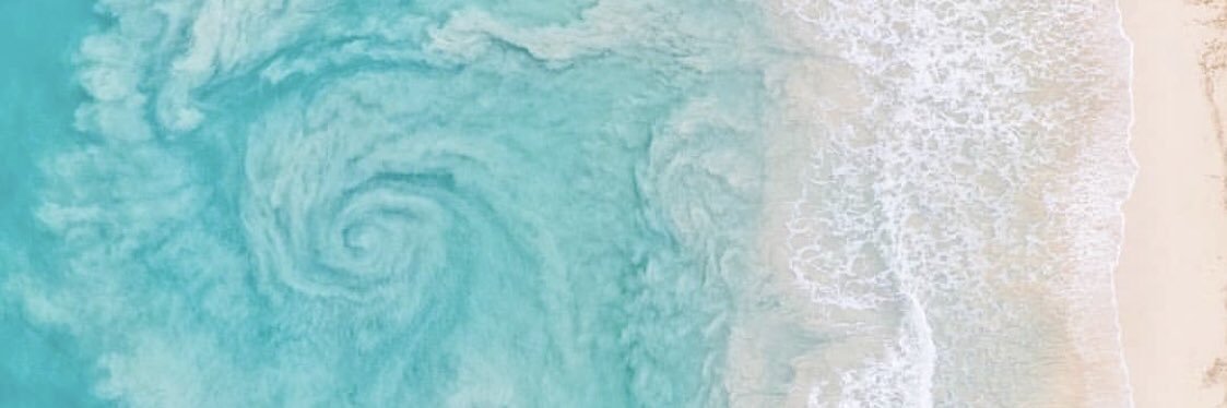 FernandaGoretti's profile banner image
