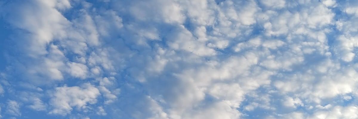 thomasGa_30's profile banner image