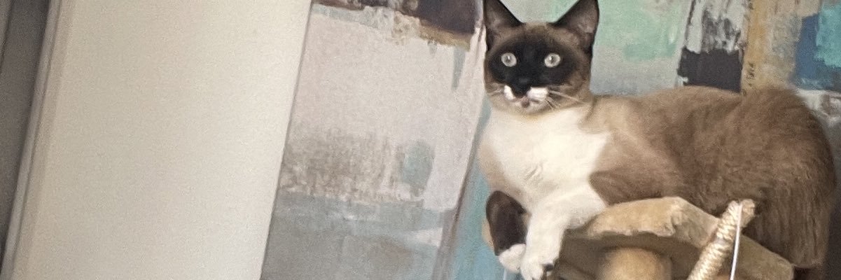 jdlopezl3's profile banner image