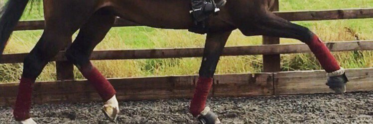 JessicaDunn21's profile banner image